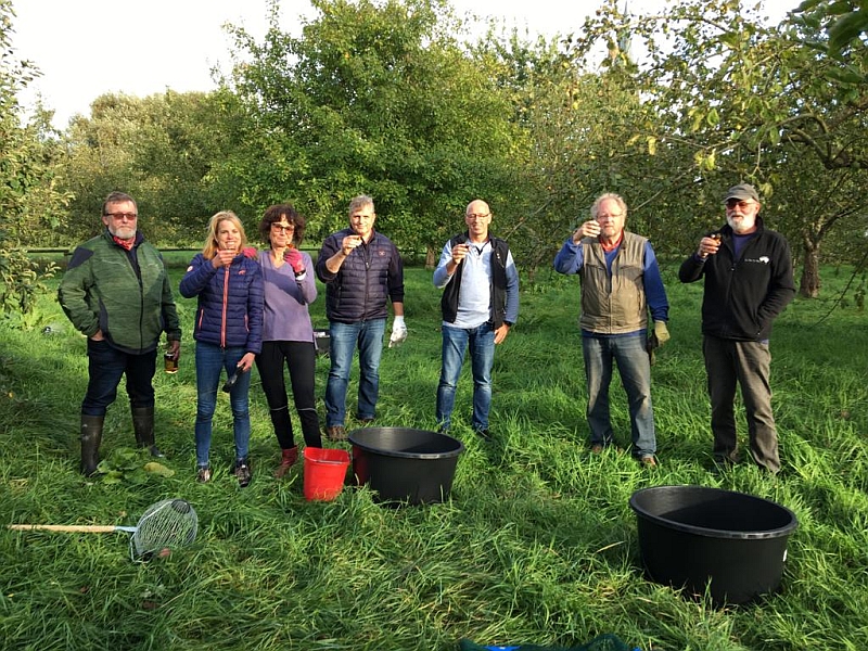 Äpfel pflücken in Butjadingen